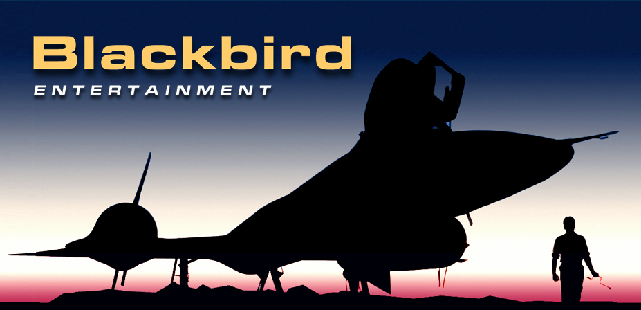National Website Design Services-Blackbird Entertainment